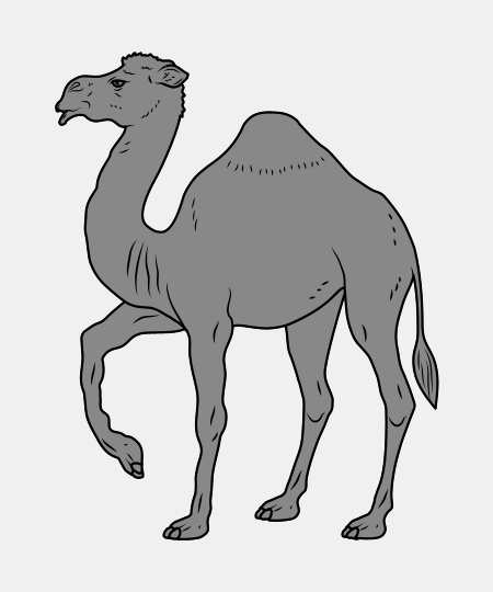 Camel Passant