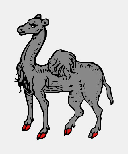 Camel