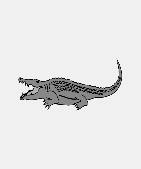 Crocodile