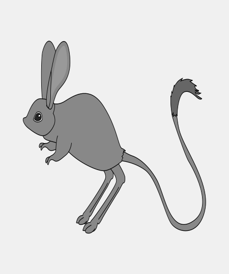 Jerboa