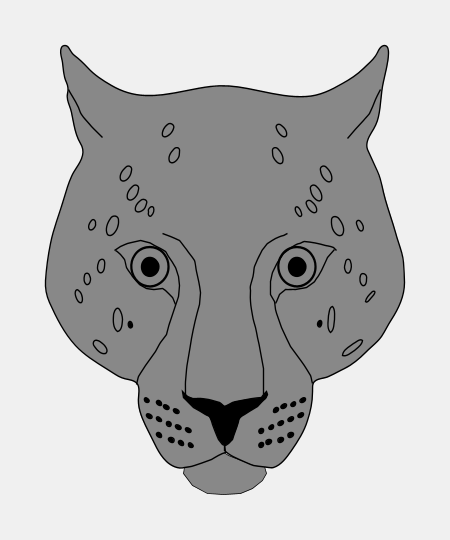 Leopard Head