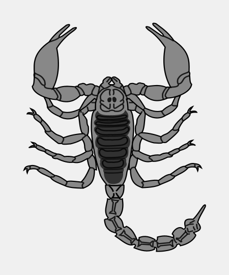 Scorpion