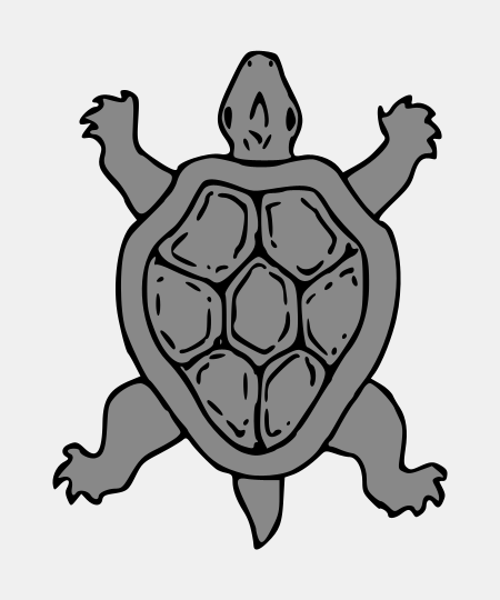 Tortoise