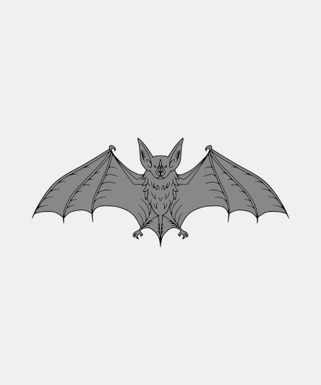 Bat