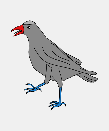 Chough