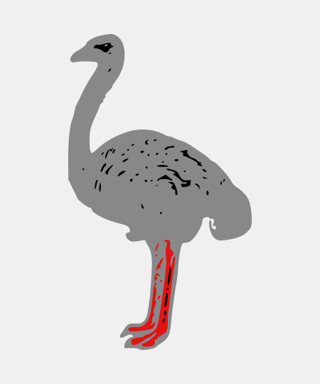 Ostrich