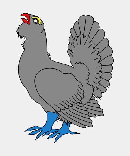 Woodcock