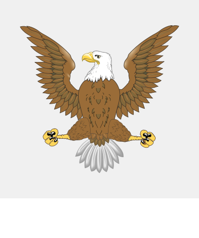 Bald Eagle Proper