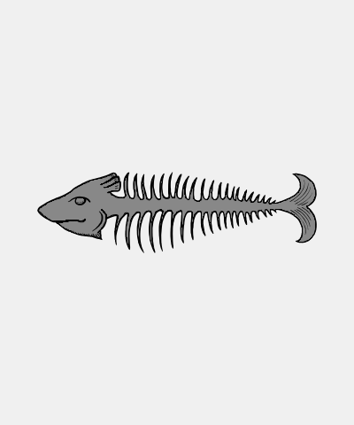 Fish Skeleton