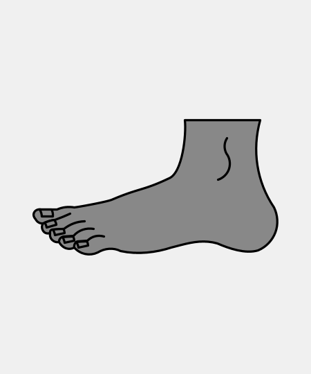 Foot