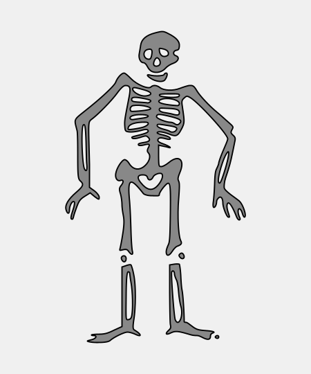 Skeleton