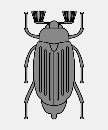 Beetle