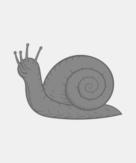 Snail