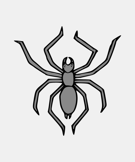 Spider