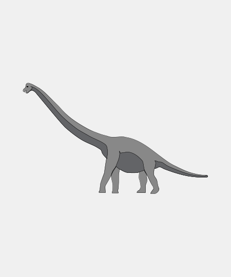 Sauropod