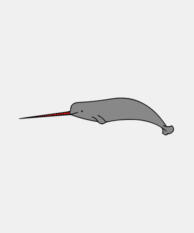 Narwhal