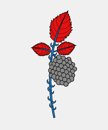 Blackberry Sprig