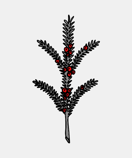 Juniper Sprig