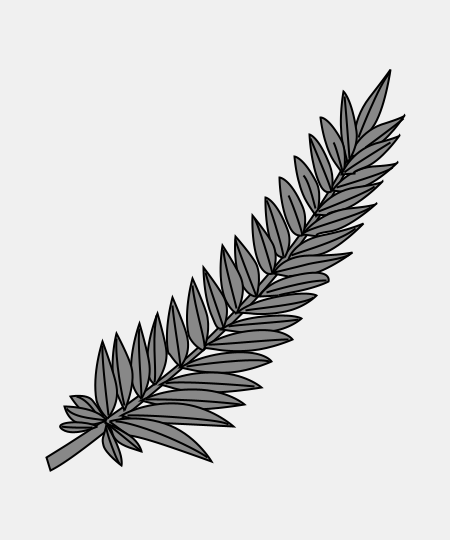 Palm Leaf