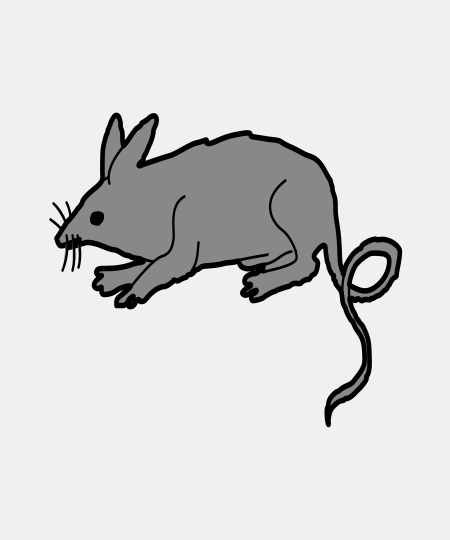 Rat Statant