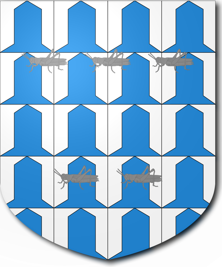 Shield image