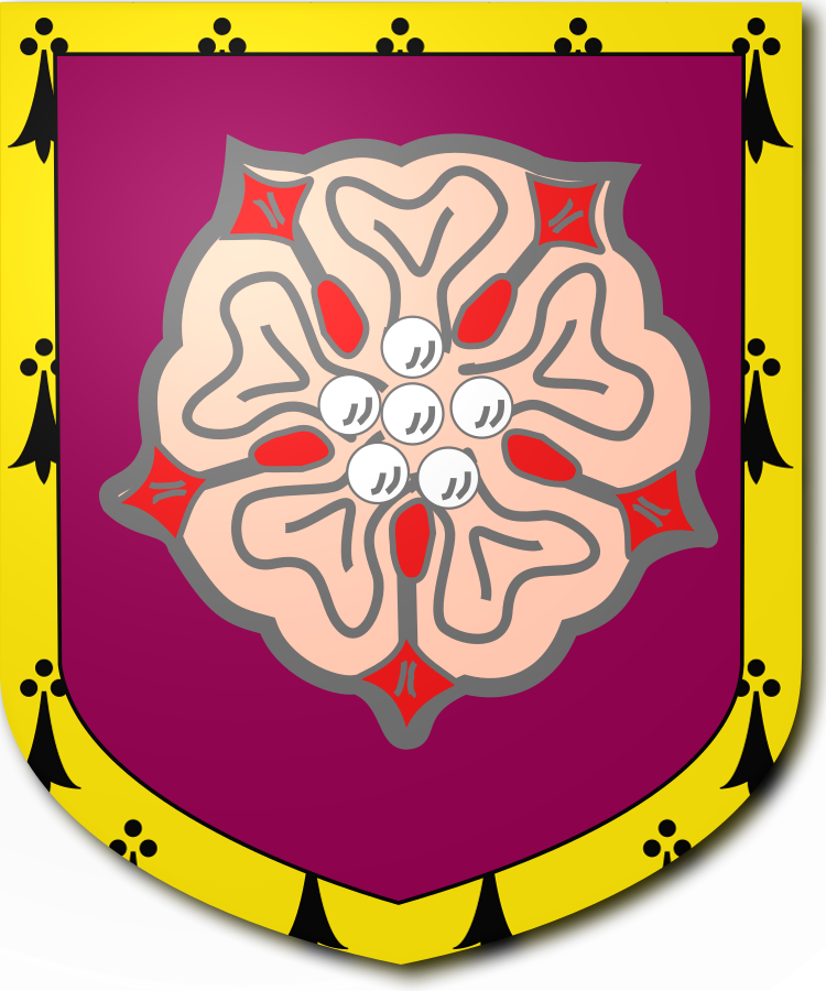 Shield image