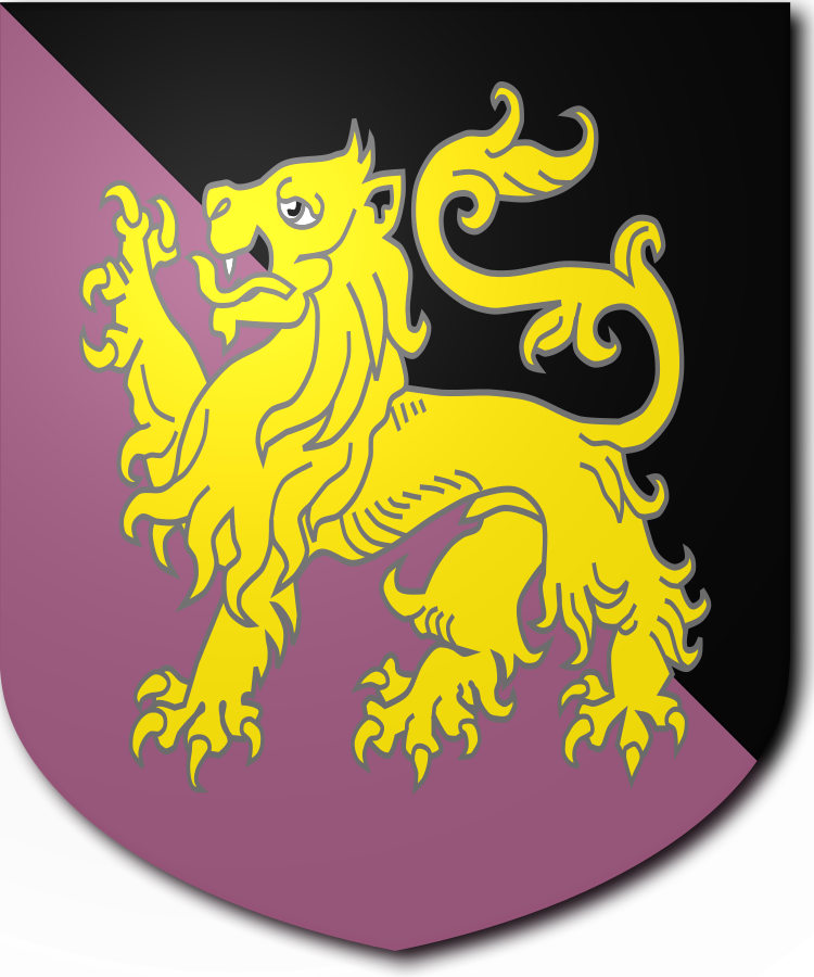 Shield image