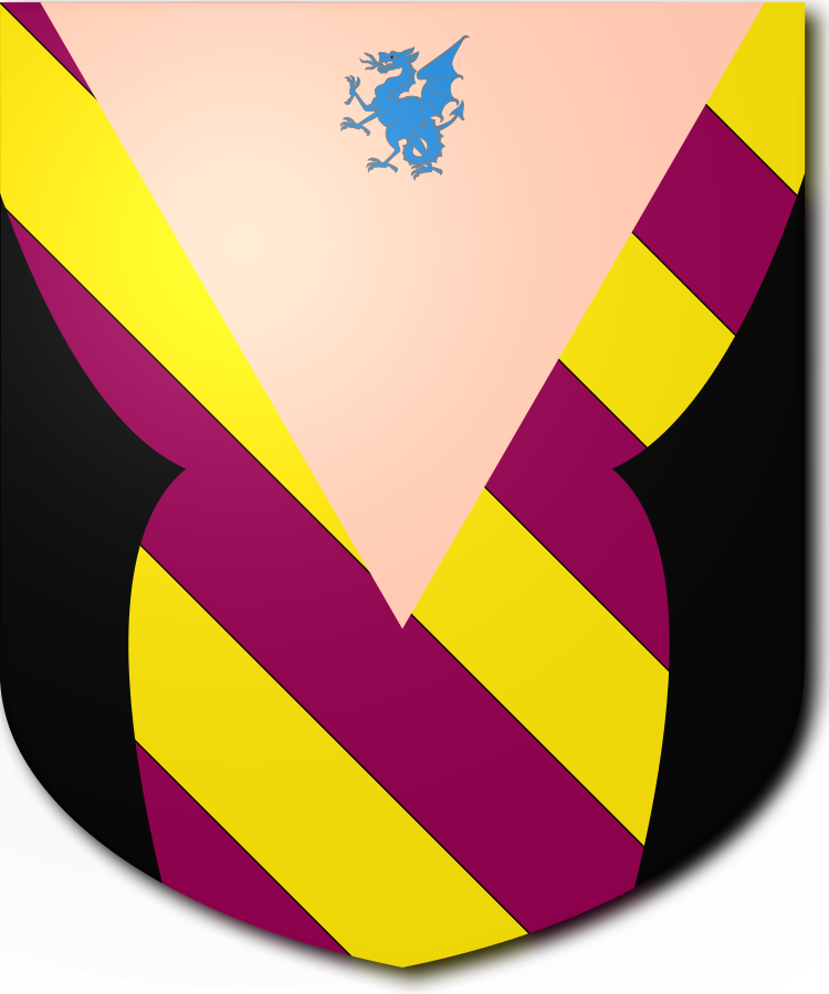 Shield image