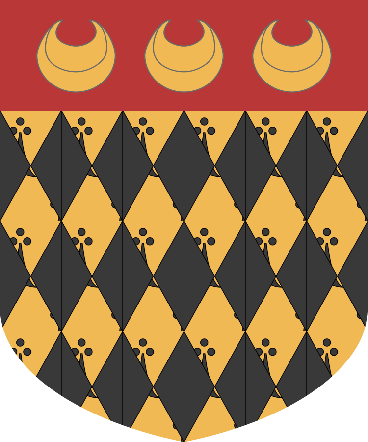 Shield image