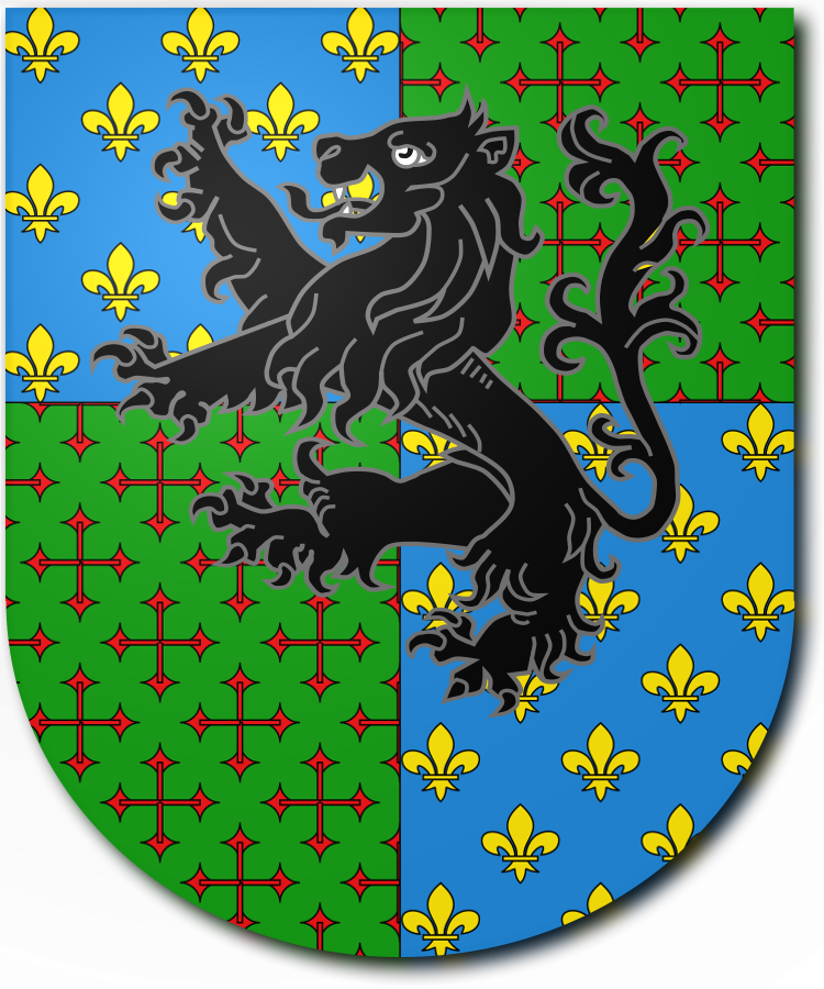 Shield image