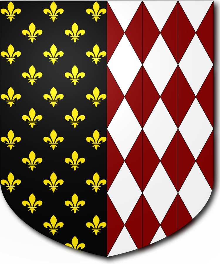 Shield image