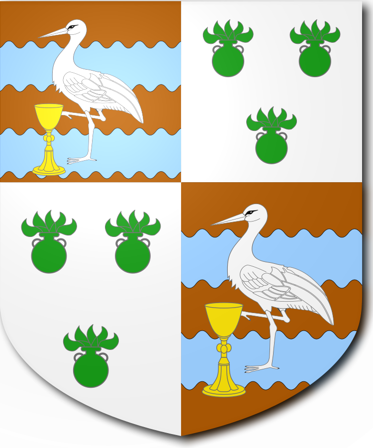 Shield image