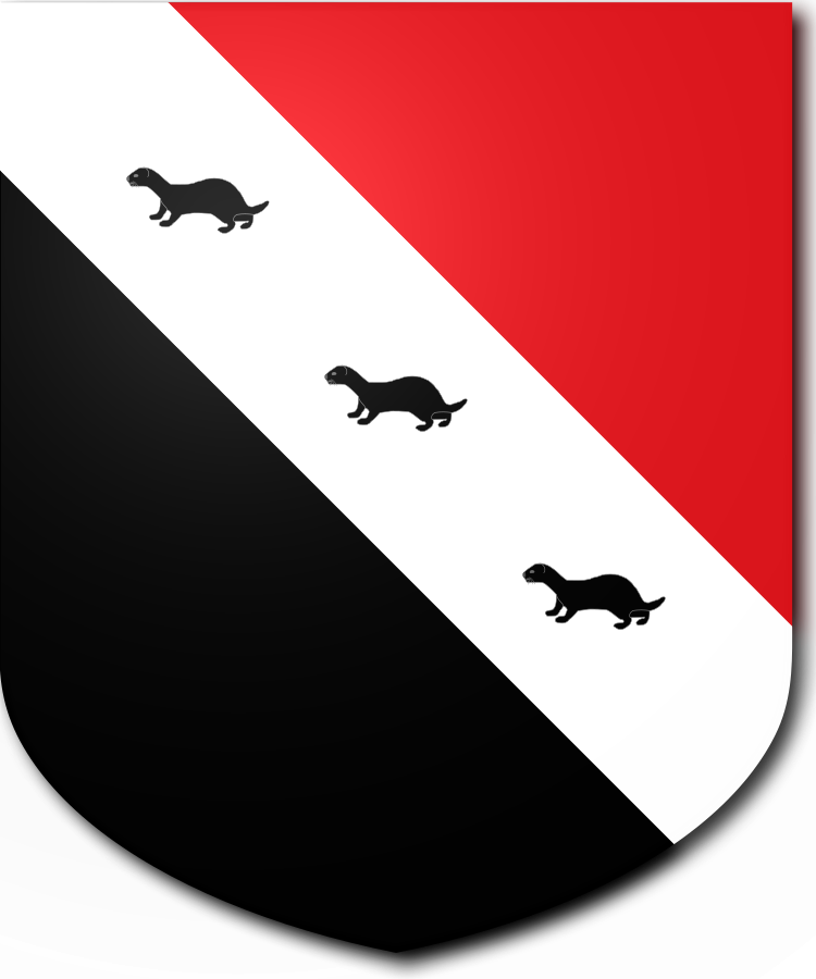 Shield image