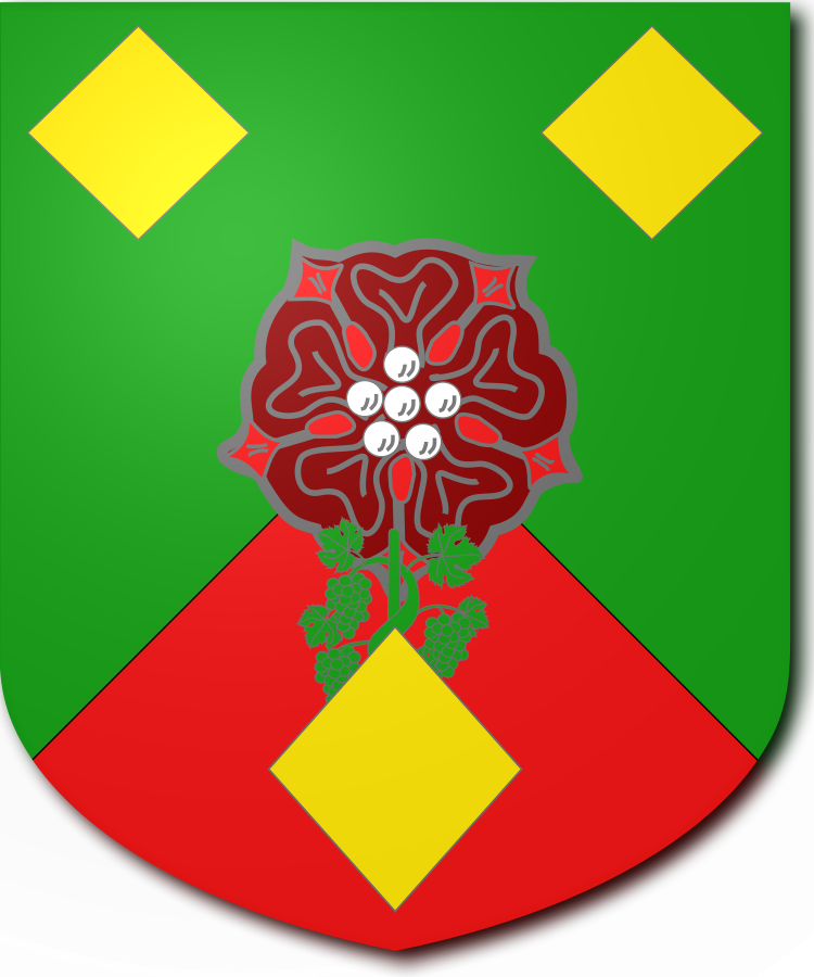 Shield image