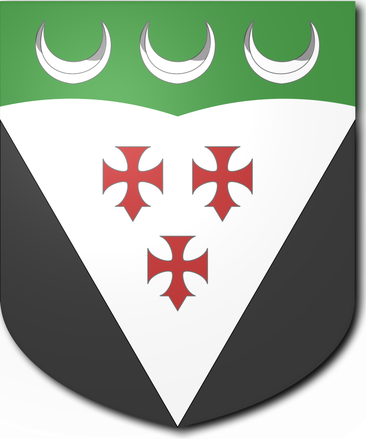 Shield image