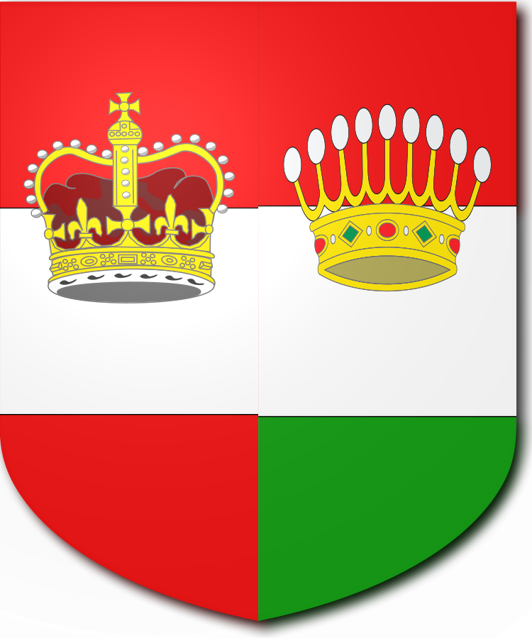 Shield image