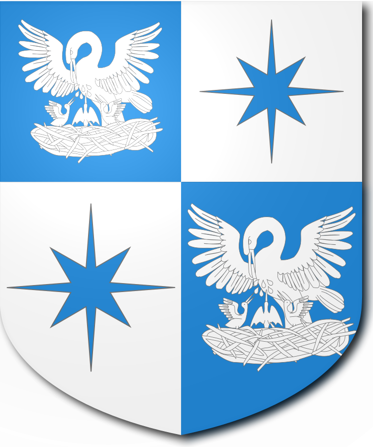 Shield image