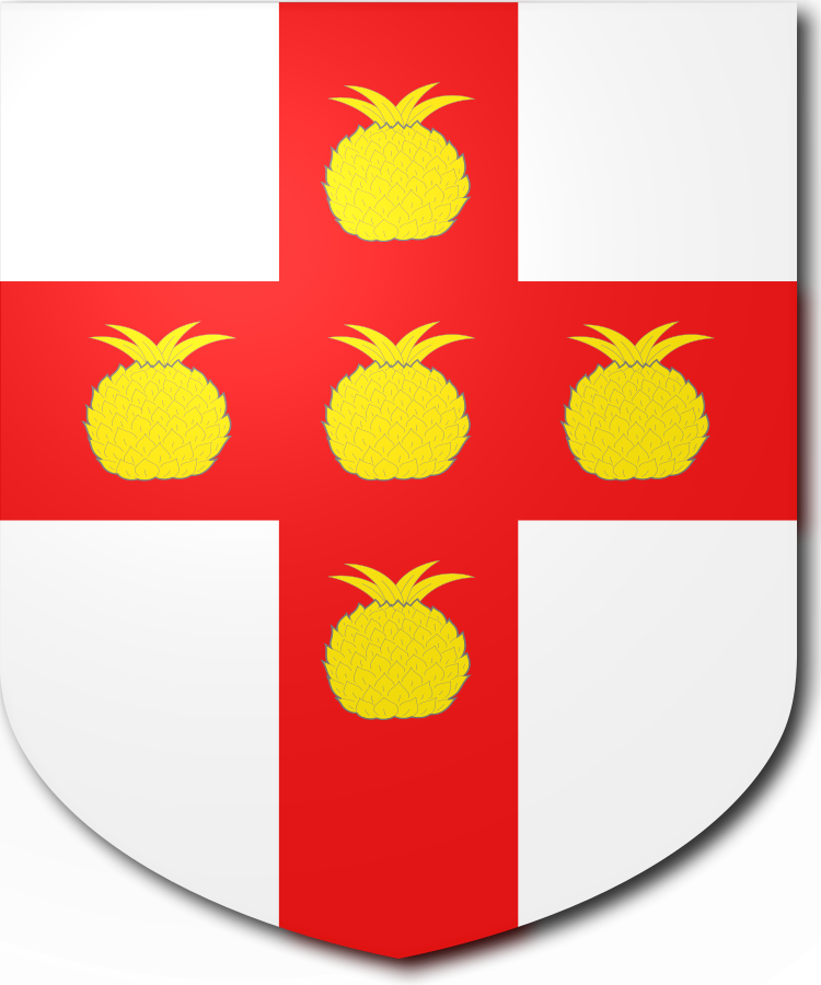 Shield image