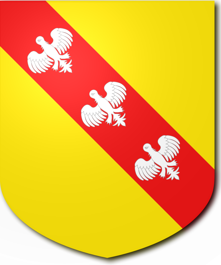 Shield image