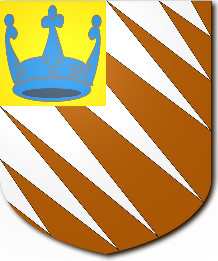 Shield image