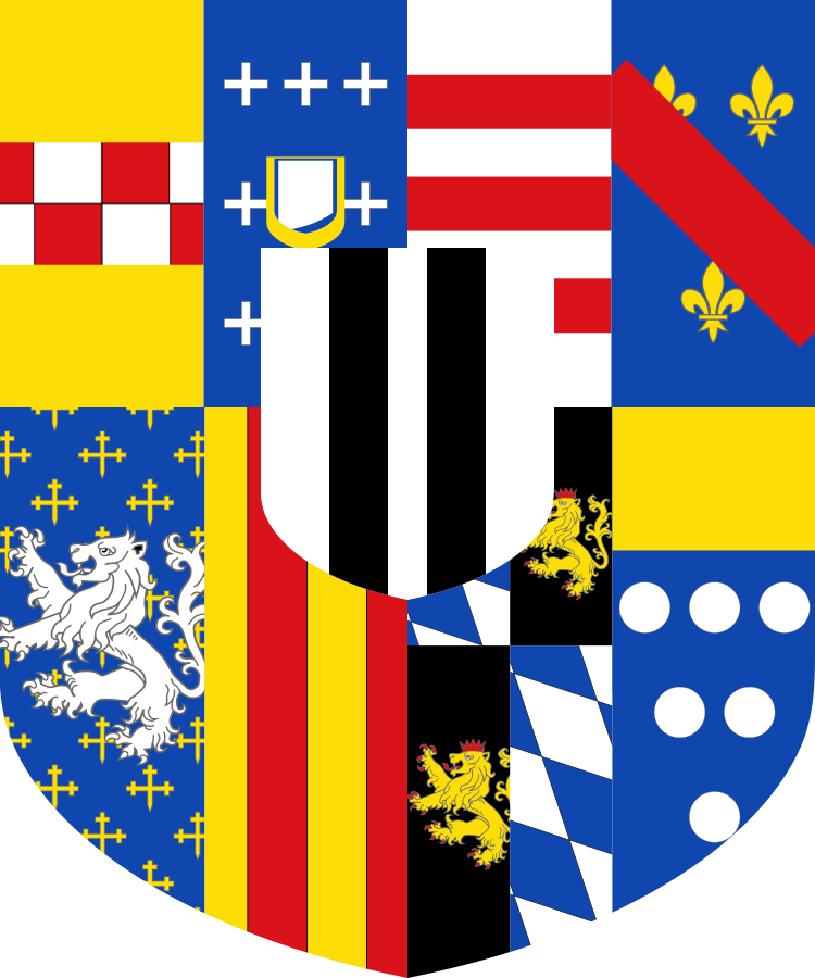 Shield image