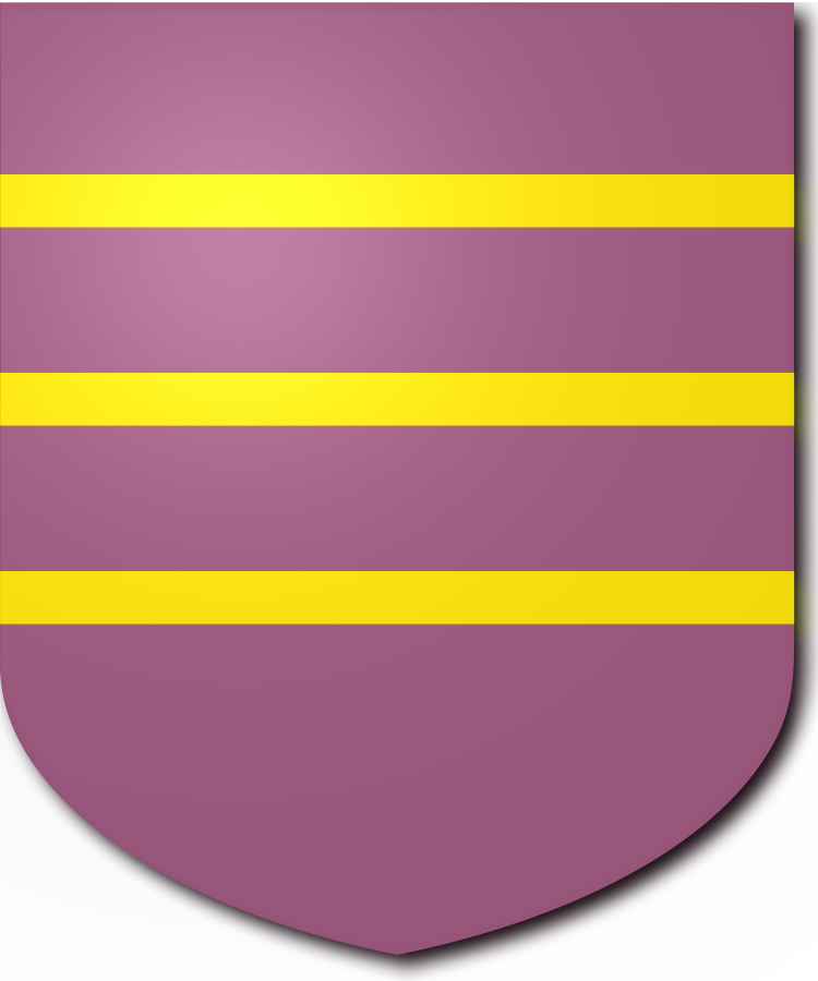 Shield image