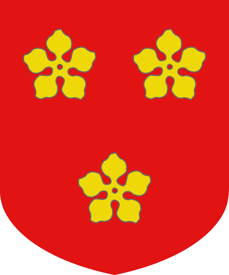 Shield image