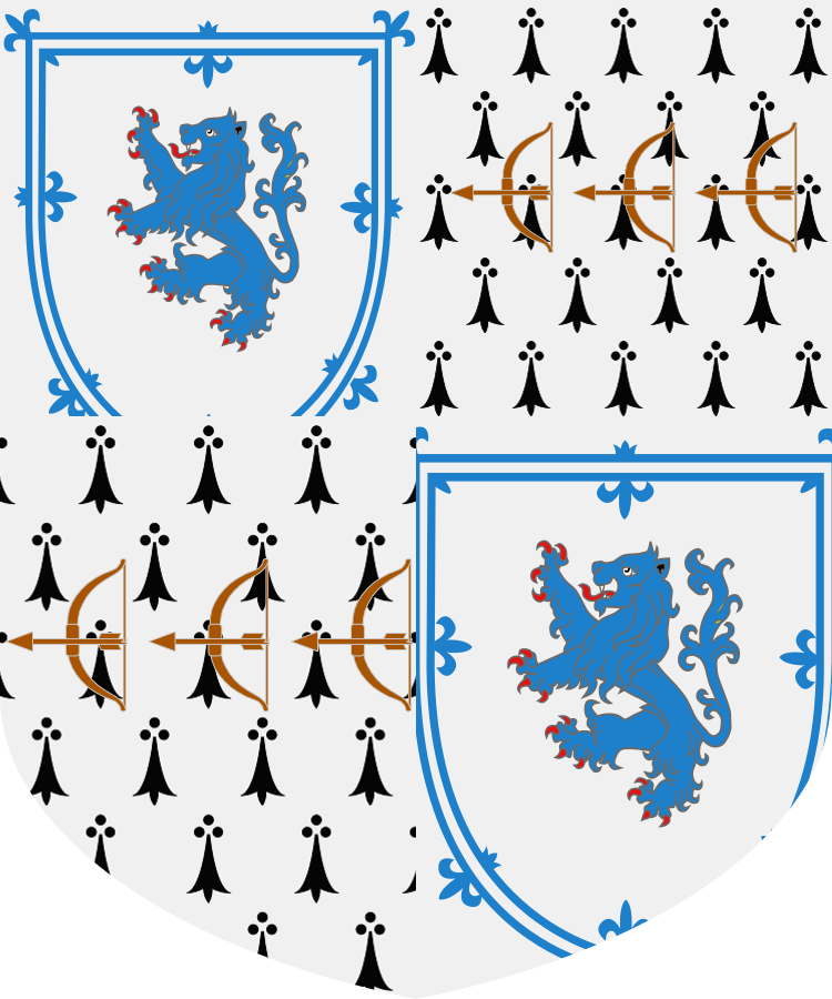 Shield image