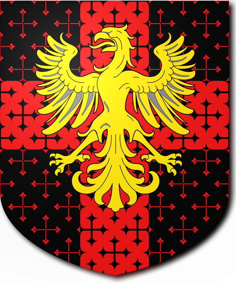 Shield image