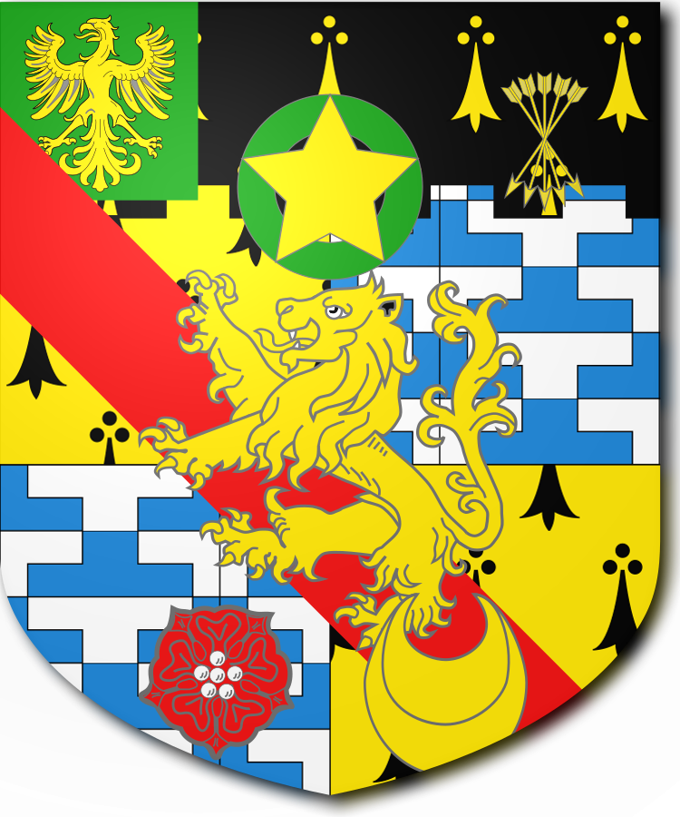 Shield image