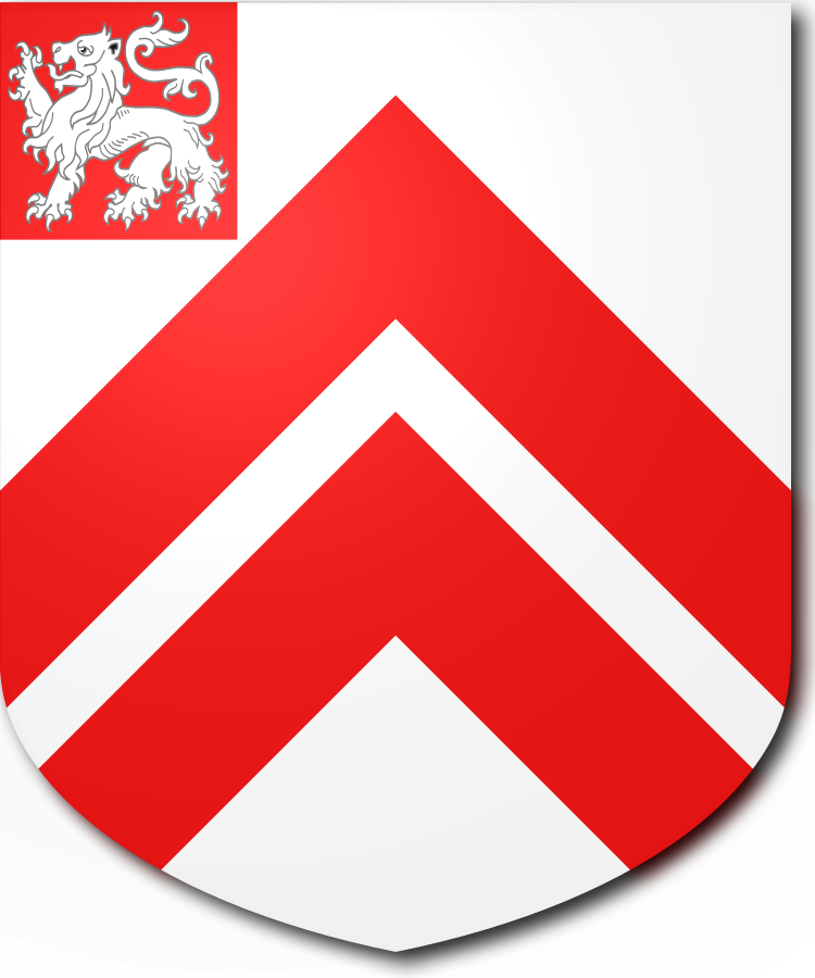 Shield image