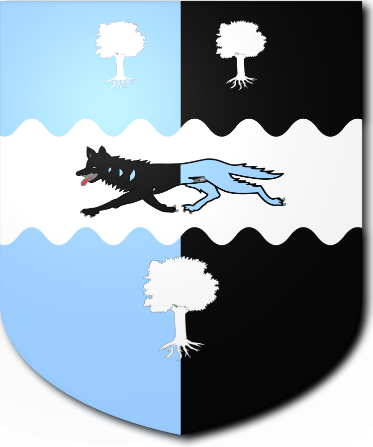 Shield image