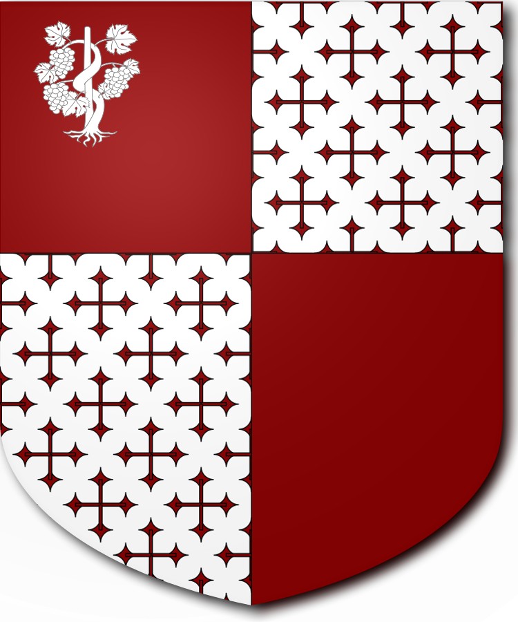 Shield image