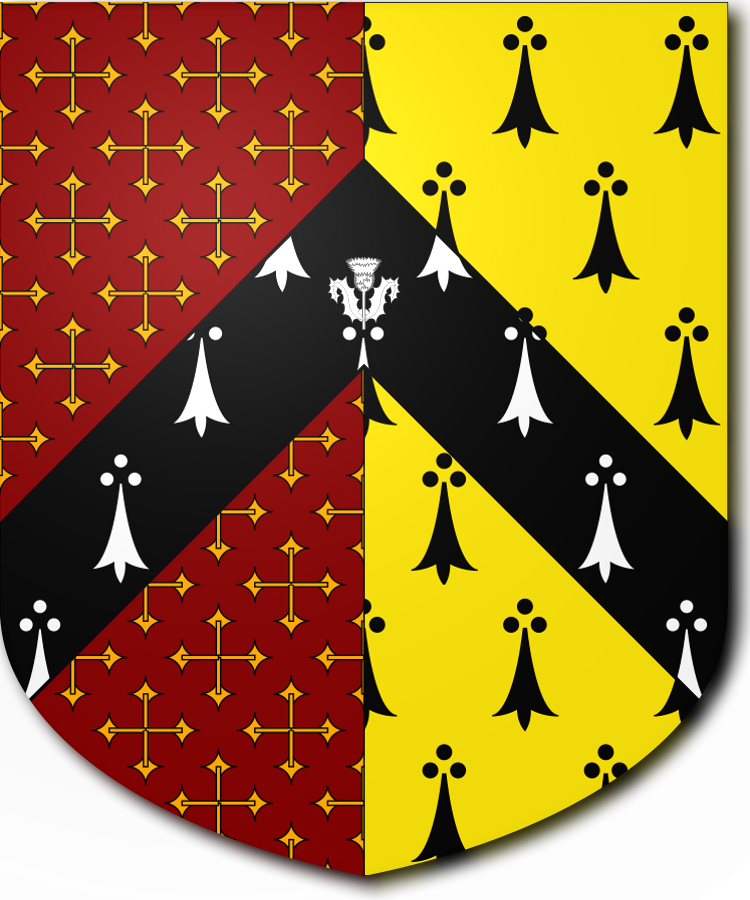 Shield image